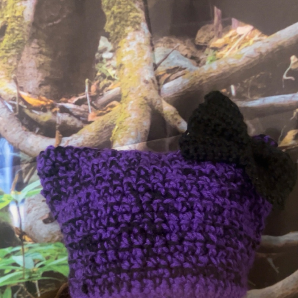 Purple and Black Bow Beanie